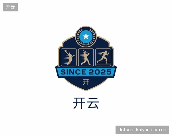 解读开云部门